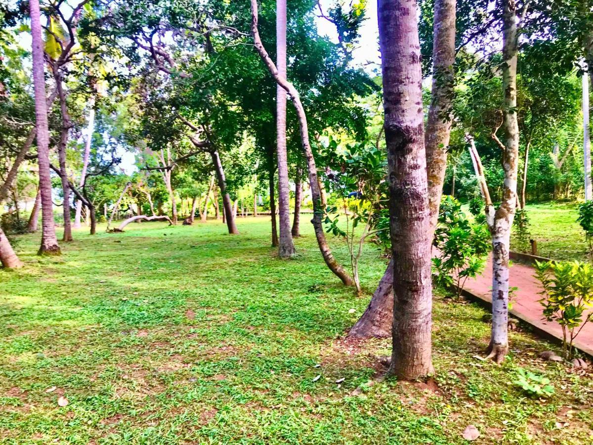 Ashansa Lagoon Resort Tangalle Zewnętrze zdjęcie