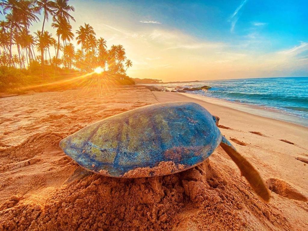Ashansa Lagoon Resort Tangalle Zewnętrze zdjęcie