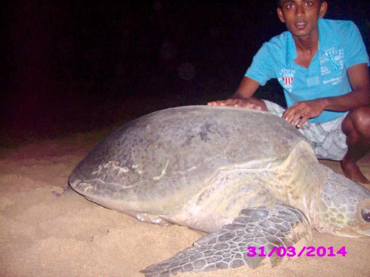 Ashansa Lagoon Resort Tangalle Zewnętrze zdjęcie